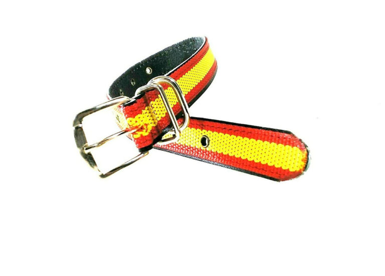 Collar de perro España nylon