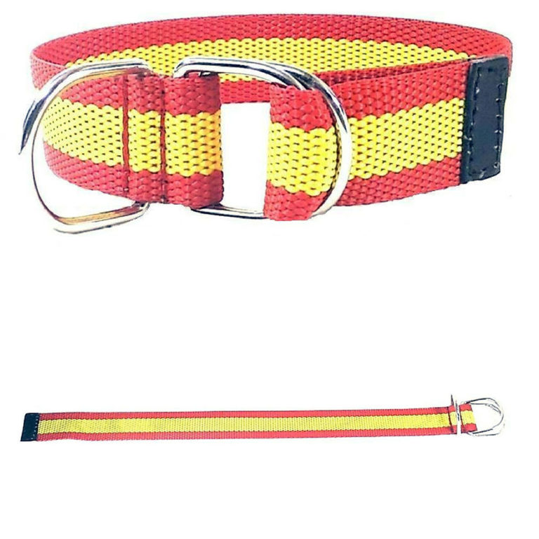 Collar de perro bandera