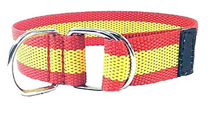 Collar de perro bandera de 3 cm de ancho y dos hebillas