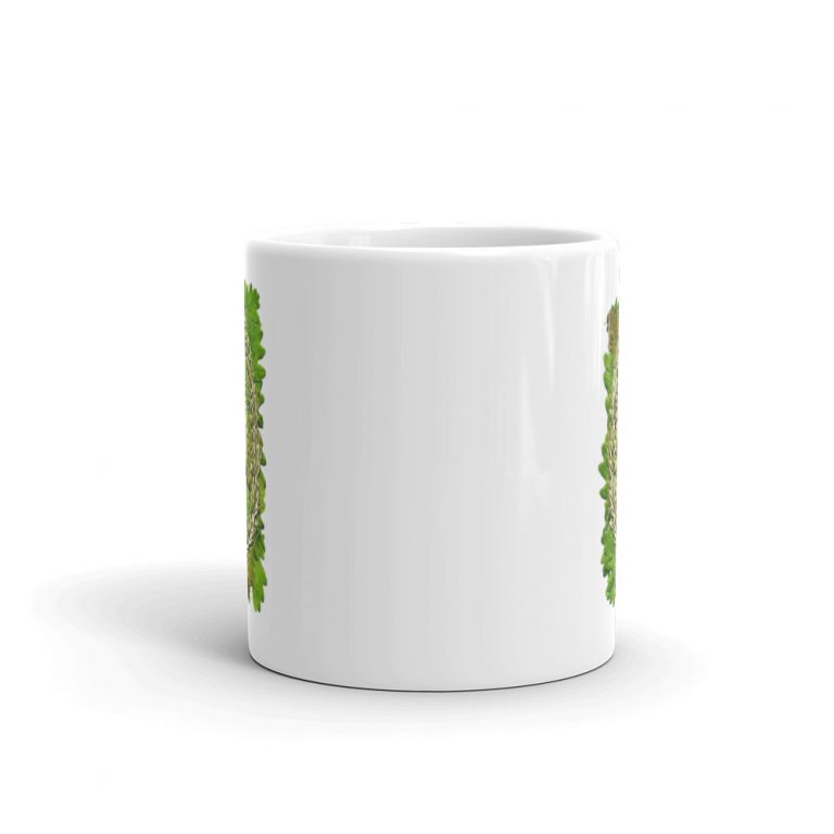 Taza BOEL